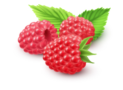 Raspberry